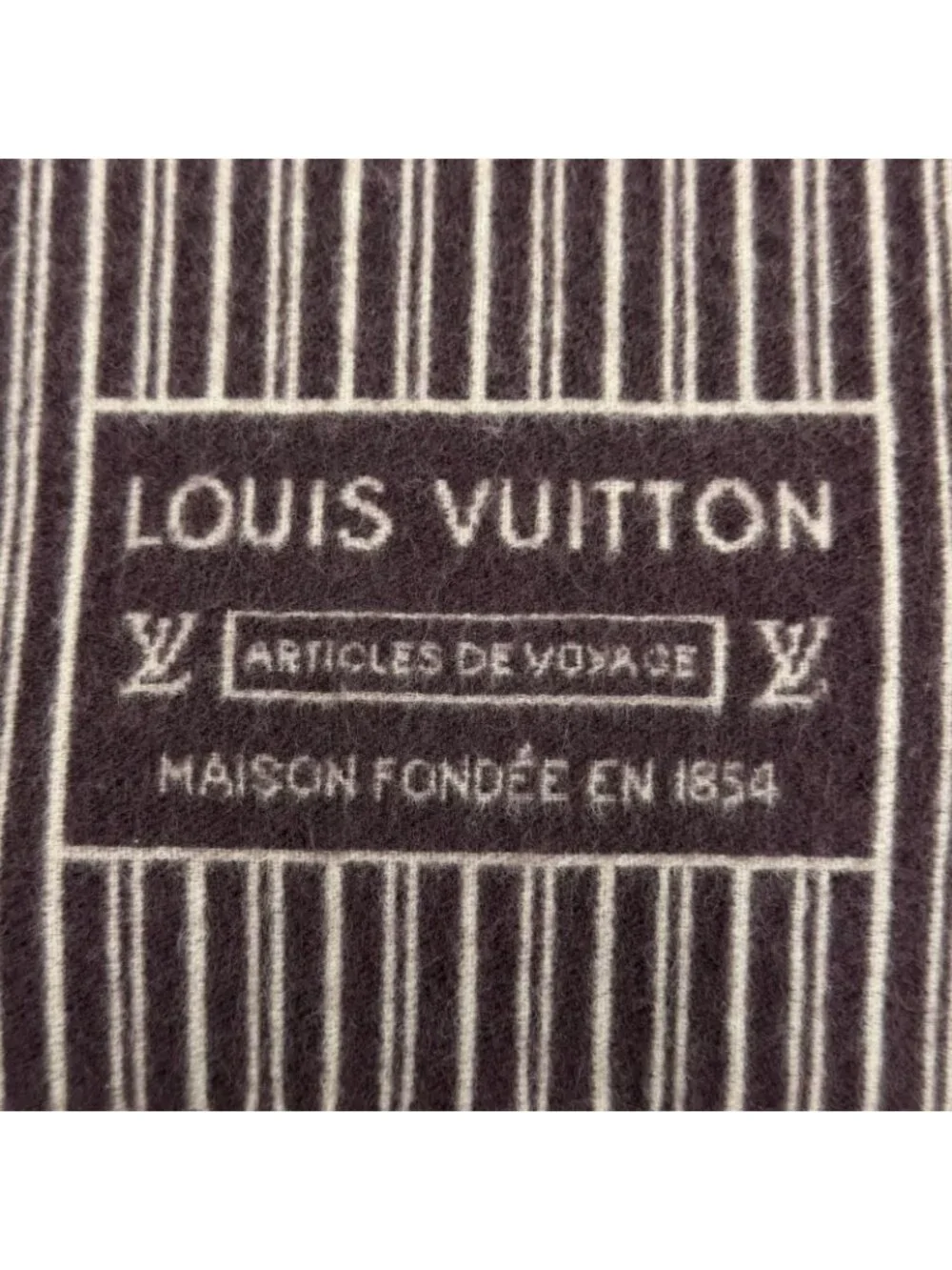 Louis Vuitton My Neverfull Cashmere Mixed Monogram Scarf with Fringe Brown Tote